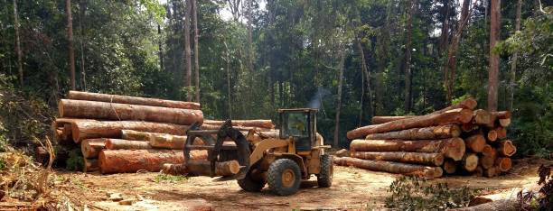 Mulching Services in Upland, PA